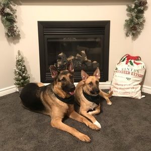 Meet your Posher, Iain